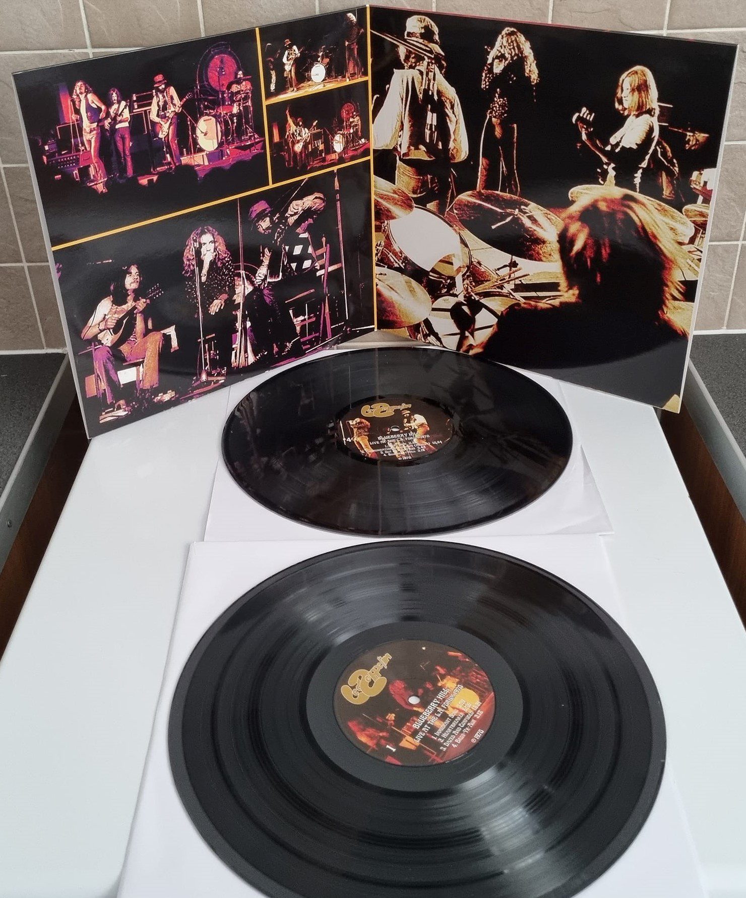 Led Zeppelin - Blueberry Hill- Live At L.A. Forum 1970- LP Vinyl