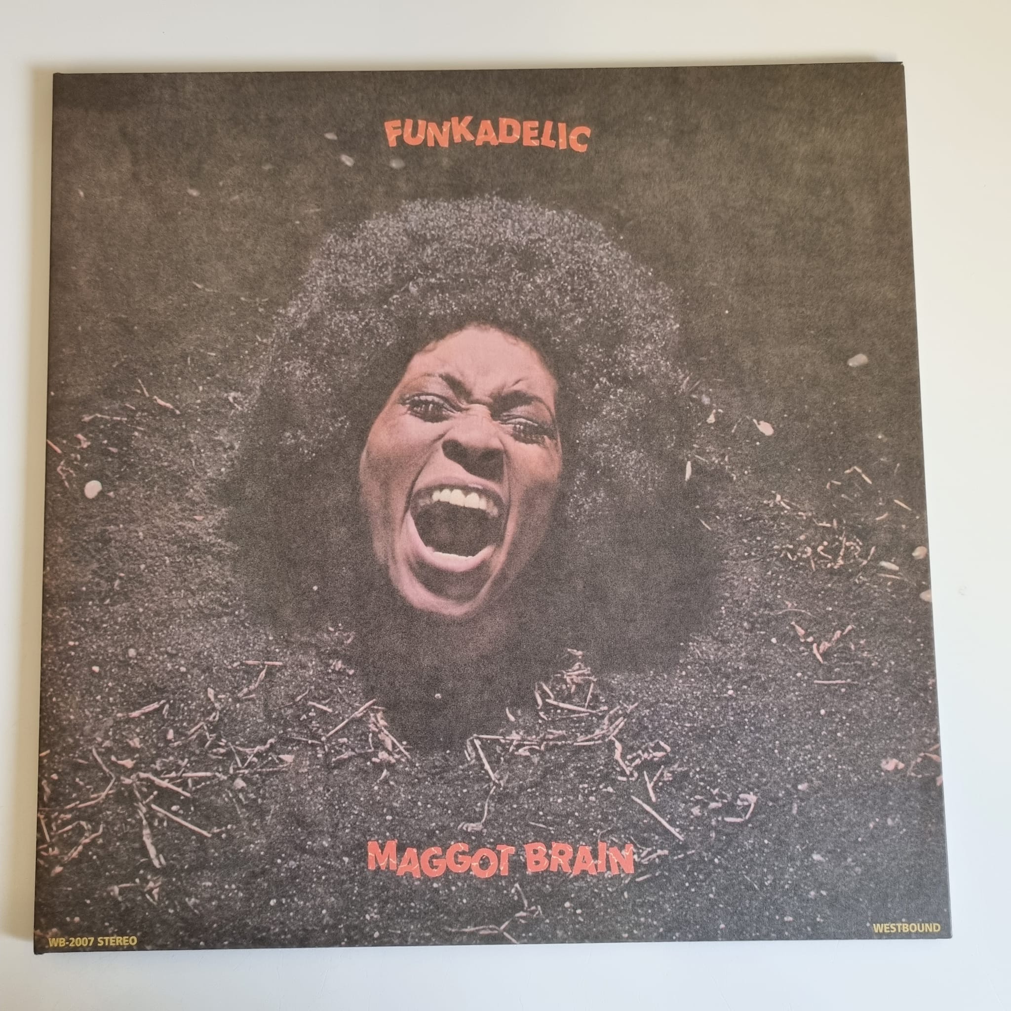Buy this rare Funkadelic record by clicking here